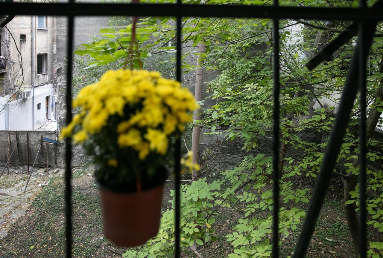 Natalie'S Home Belgrad Exterior foto